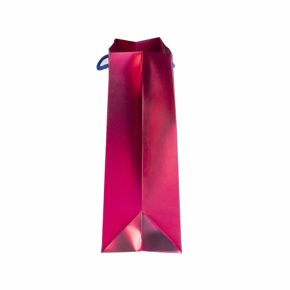 Custom Fashion Printed Paper Bag