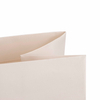 Custom Printed Gift Paper Bag