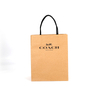 Custom Brown Paper Bags Coach Shopping Bag