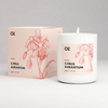 Custom Candle Box Wholesale, Cabdle Packaging