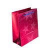 Custom Fashion Printed Paper Bag