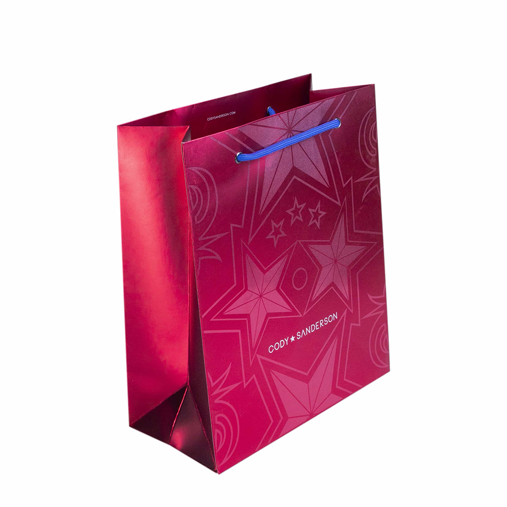 Custom Fashion Printed Paper Bag